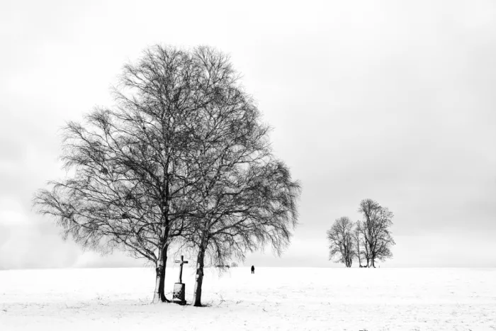 Rank, Peter Hans: winter dormancy