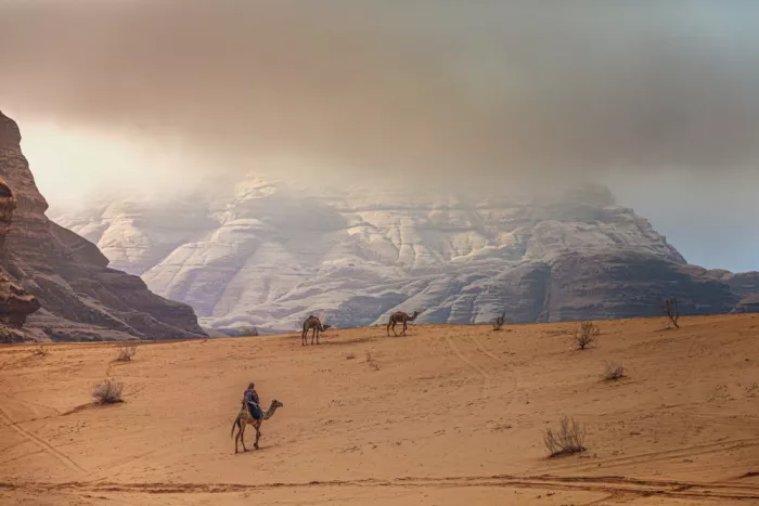 Tagliarino, Marco: Mode de vie à Wadi Rum