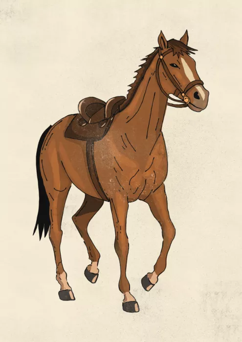 Nicholas: Horse