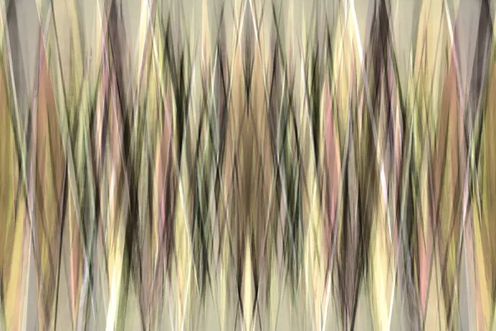 Sillen, Christina: Woven Light