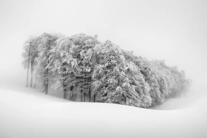 Klabus, Aleš: Close together fighting winter