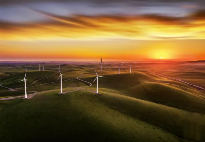 Qiu, Jenny: Light Over the Rolling Hills