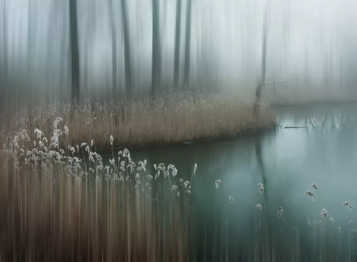 Lee, van Hilda: morning illusion
