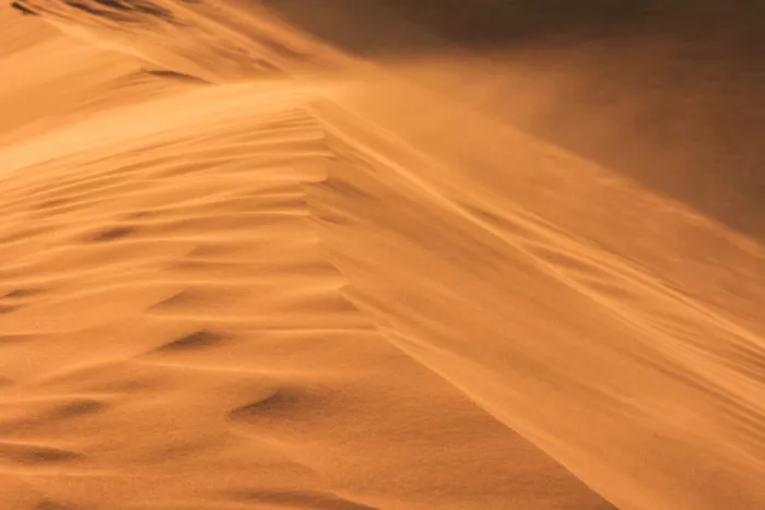 Photolovers: Golden hour in the Sahara desert
