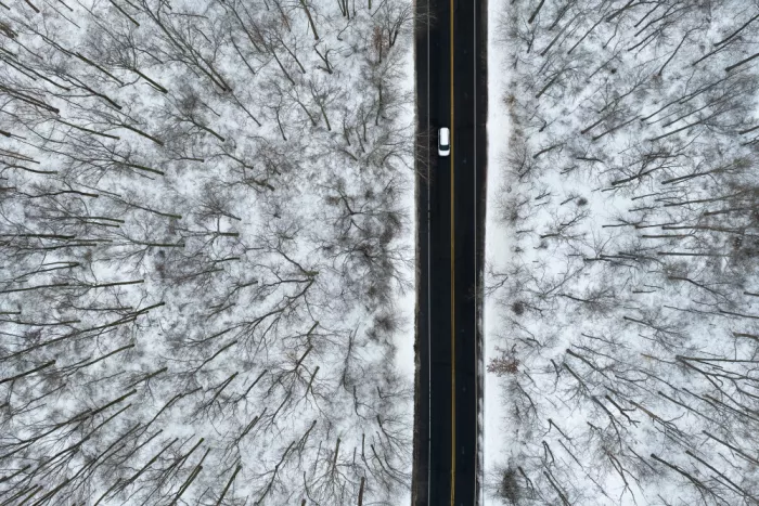 Fan, John: Road through Forest