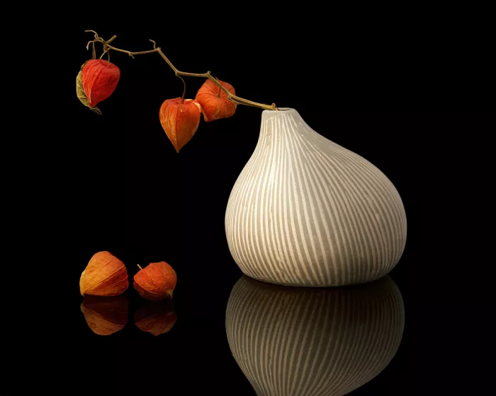 Luo, Louie: Physalis