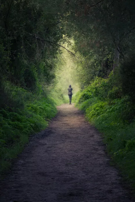 Rosenfeld, Haim: Journey into Light