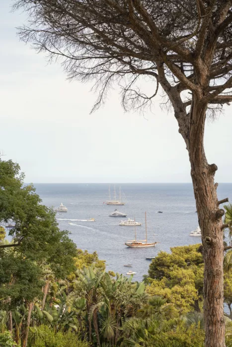 Schenk, Henrike: Veduta del mare di Capri