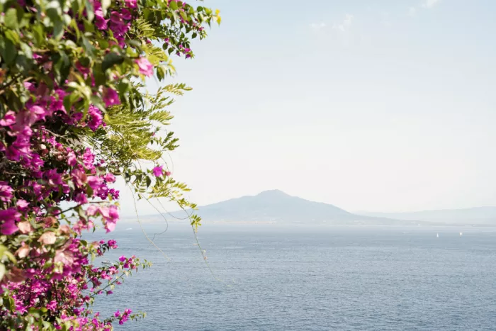 Schenk, Henrike: Paesaggio del Vesuvio