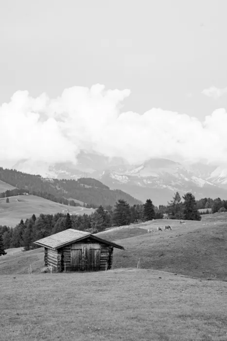 Schenk, Henrike: Alpe Di Siusi