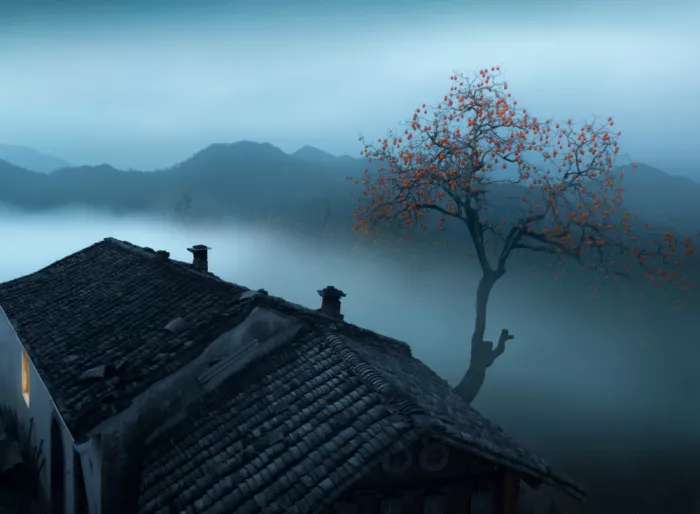 Ye, NingYun: Kakibäume in einem alten Dorf
