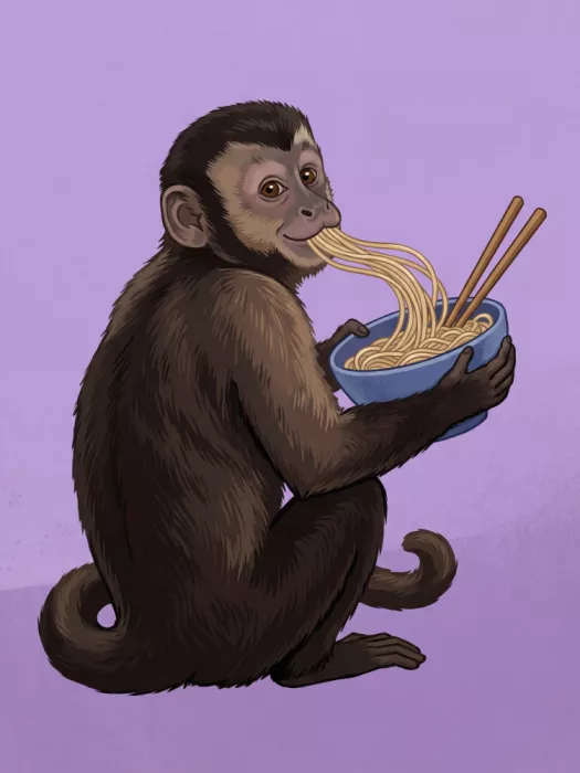 Magnusson, Andreas: Mono de fideos