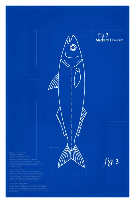 cartissi: Mackerel (Fig. 3): The Iridescent Racer