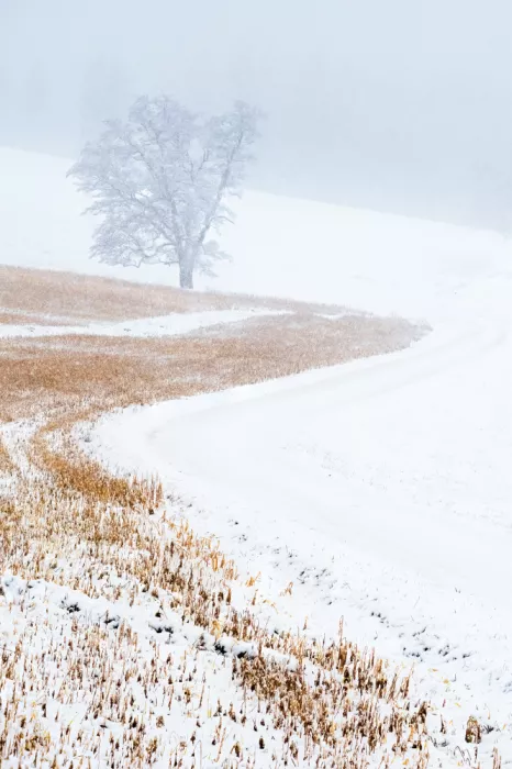 Eisenmann, Ulrike: Bavarian Winter