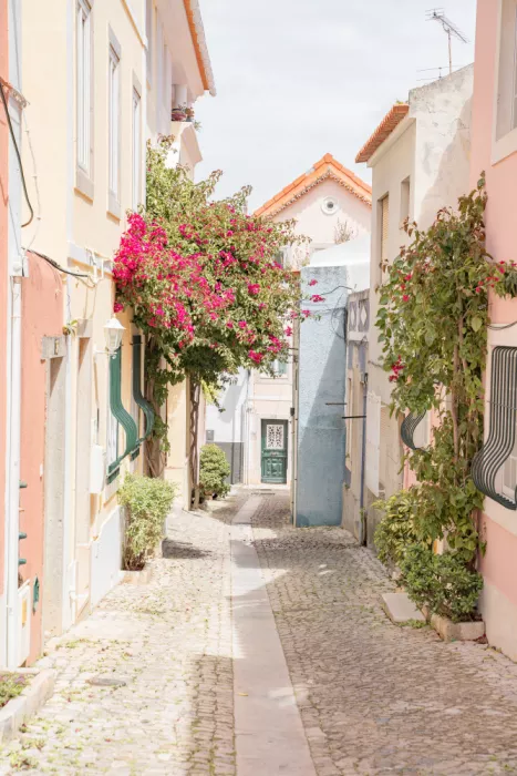 Schenk, Henrike: Strada portoghese