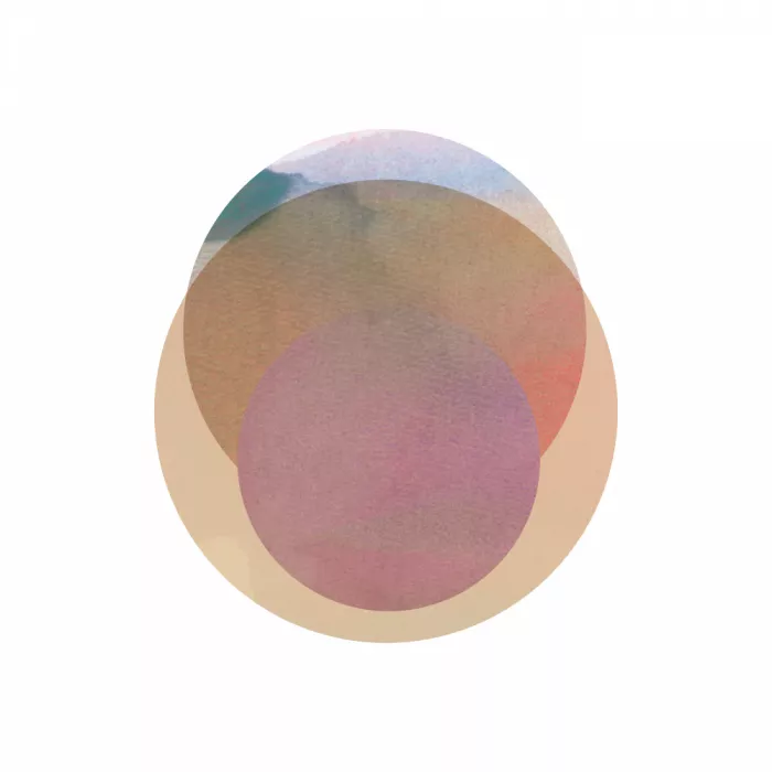 cartissi: Soft Amber Eclipse