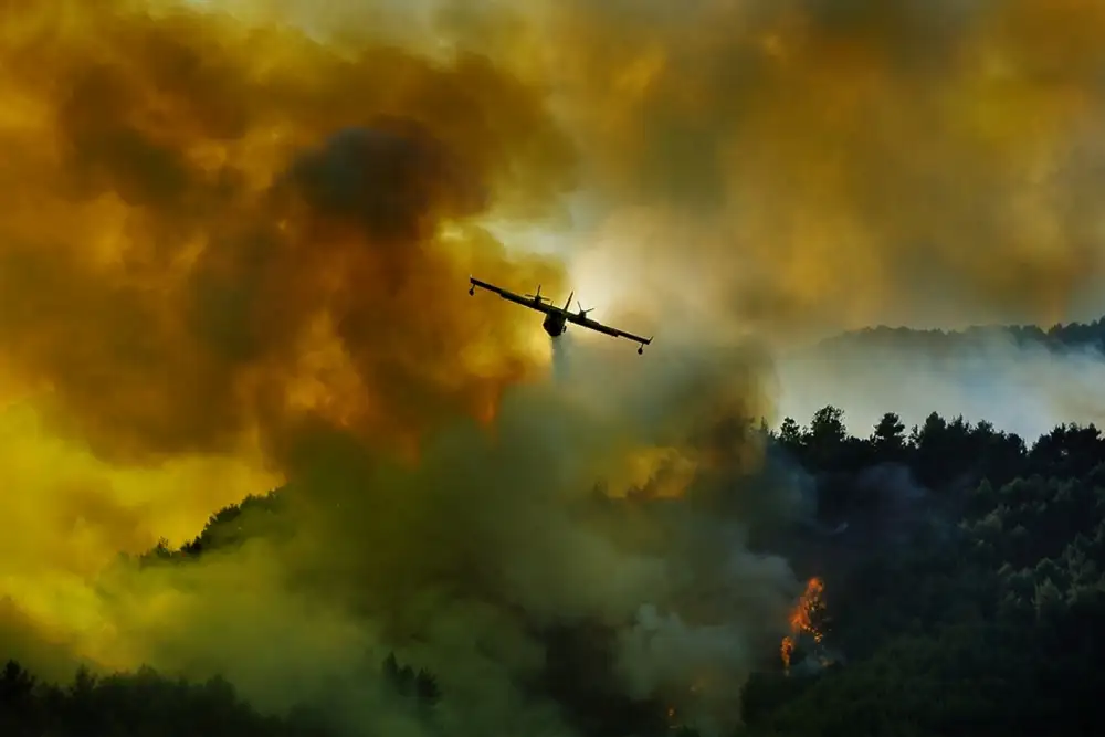 Grambone, Antonio: Aerei Canadair in azione: in lotta per la salvezza della foresta.