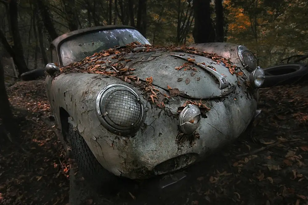 Droste, Holger: bosque rojo