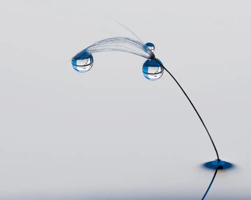 Westum, Heidi: Blue mood