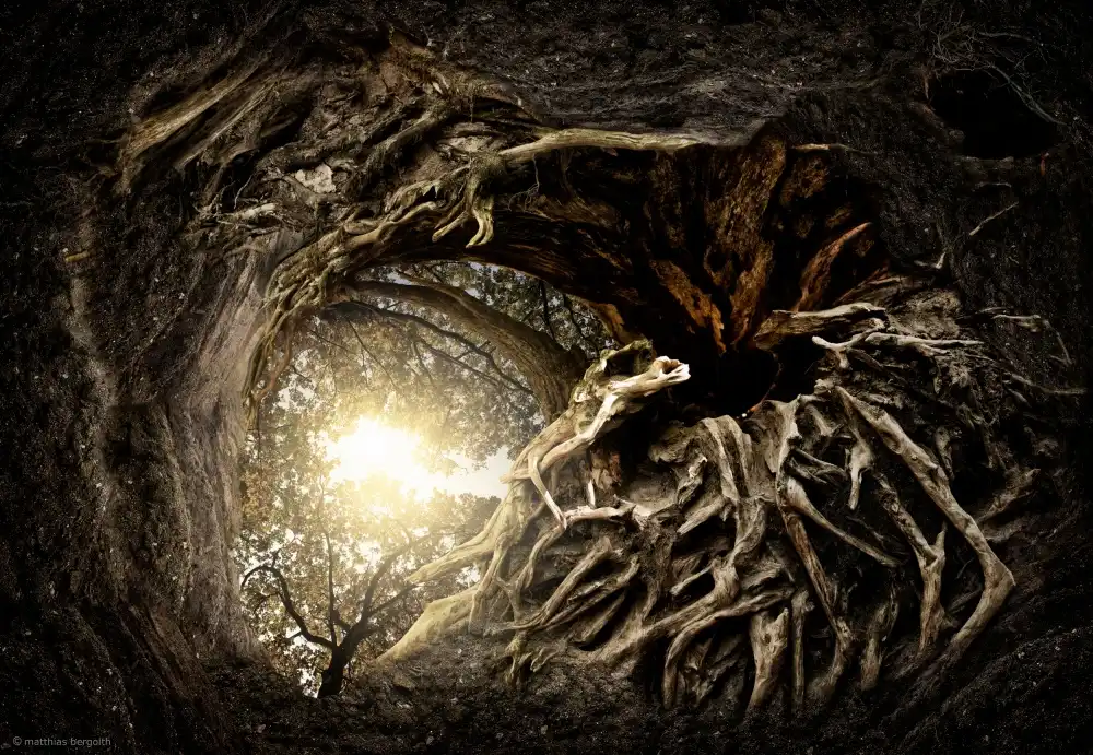 Bergolth, Matthias: Under The Trees #1
