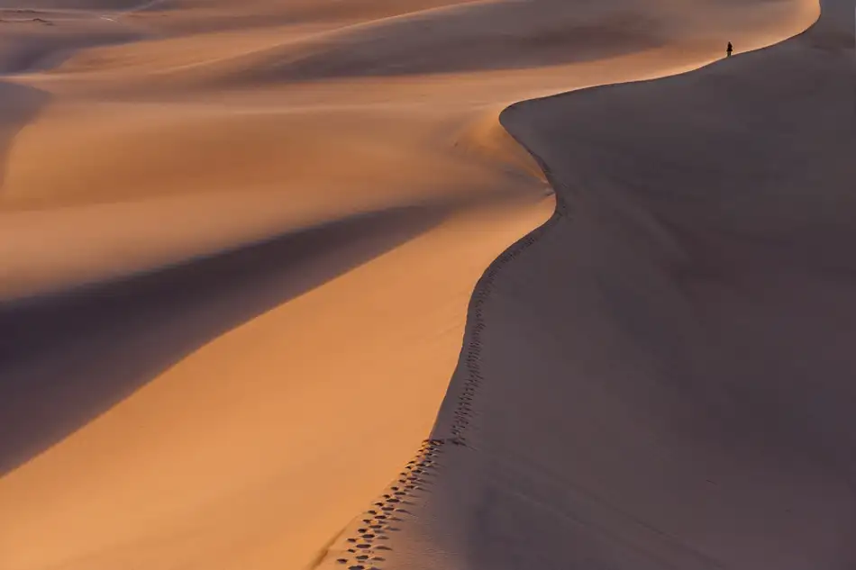 Kravanja, Jure: Desertwalk