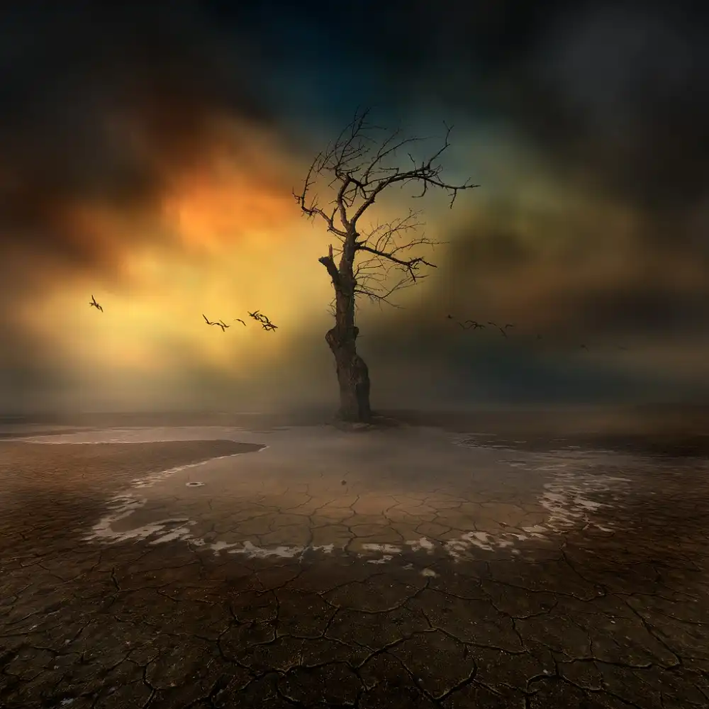 Krol, Bax Piotr: lonely