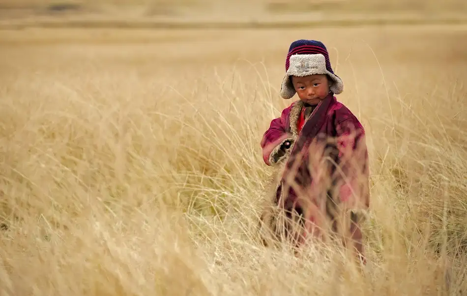 Marino, Nicolas: Stuck in the hay