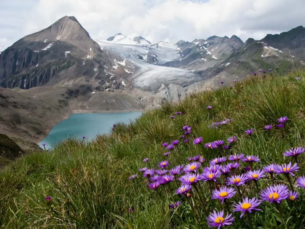Guarino, Vito: Corno Gries, Switzerland