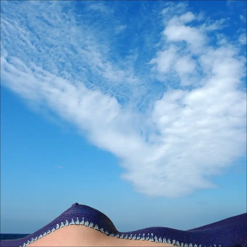 Limberg, Huib: Dünen