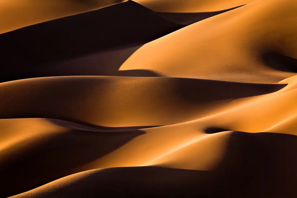 Momeni, Mohammadreza: Light and Shadow