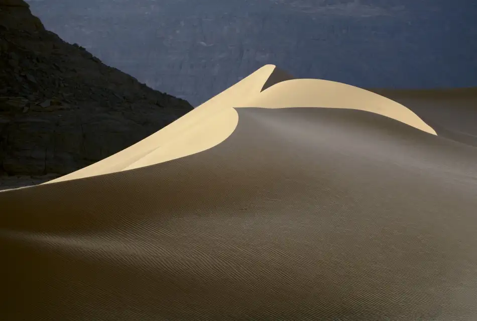 Dubikovskiy, Dmitry: sandy bird