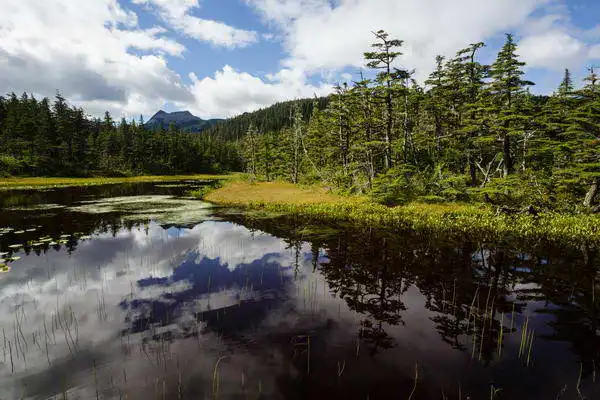 Zuzana a Josef Havlin: River (Alaska)