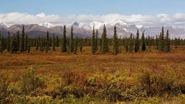 Zuzana a Josef Havlin: En el valle de Alaska