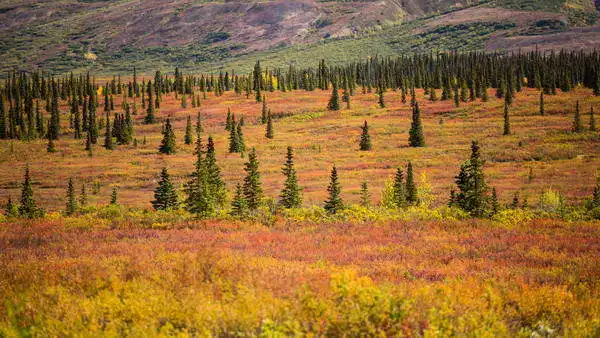 Zuzana a Josef Havlin: Mountain valley in Alaska