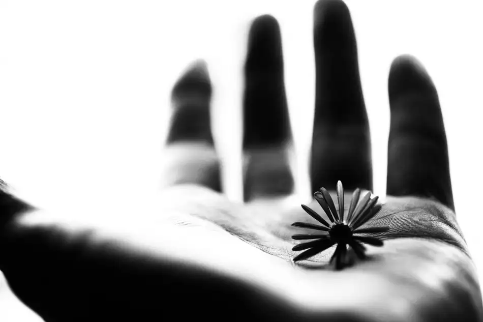 Ikeda, Keisuke: One life