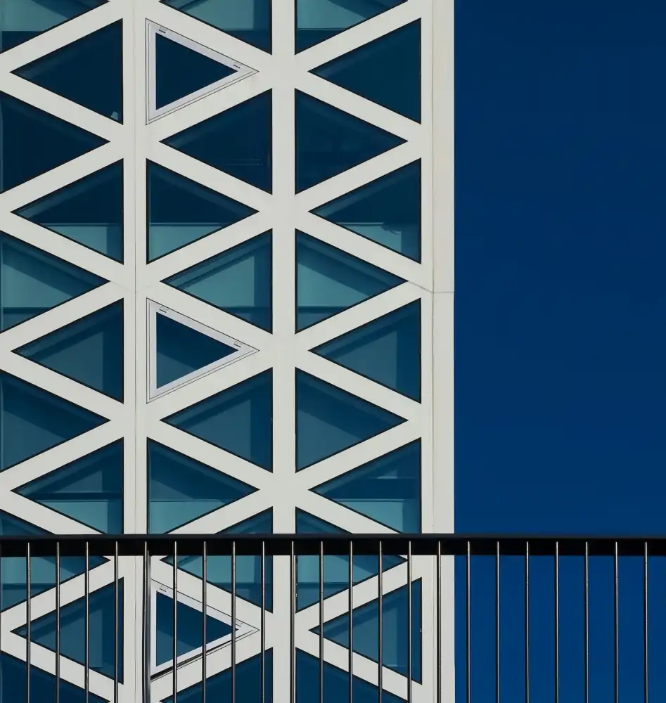 Jonkman, Gerard: The X building