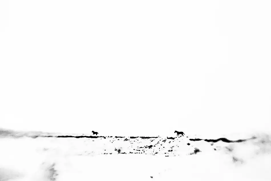 Lupei, Codrin: No name