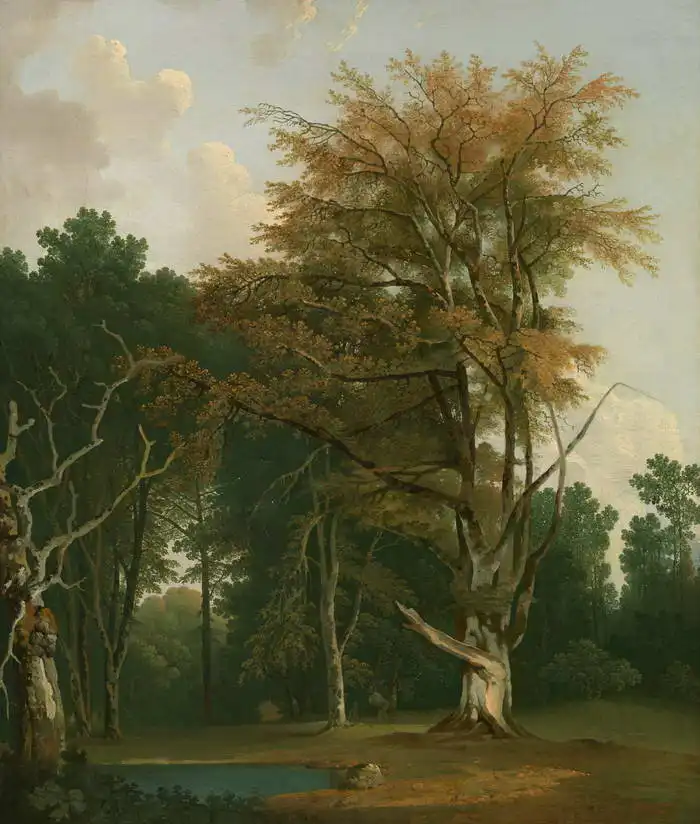Farington, Joseph: Stromy ve Woodland Glade