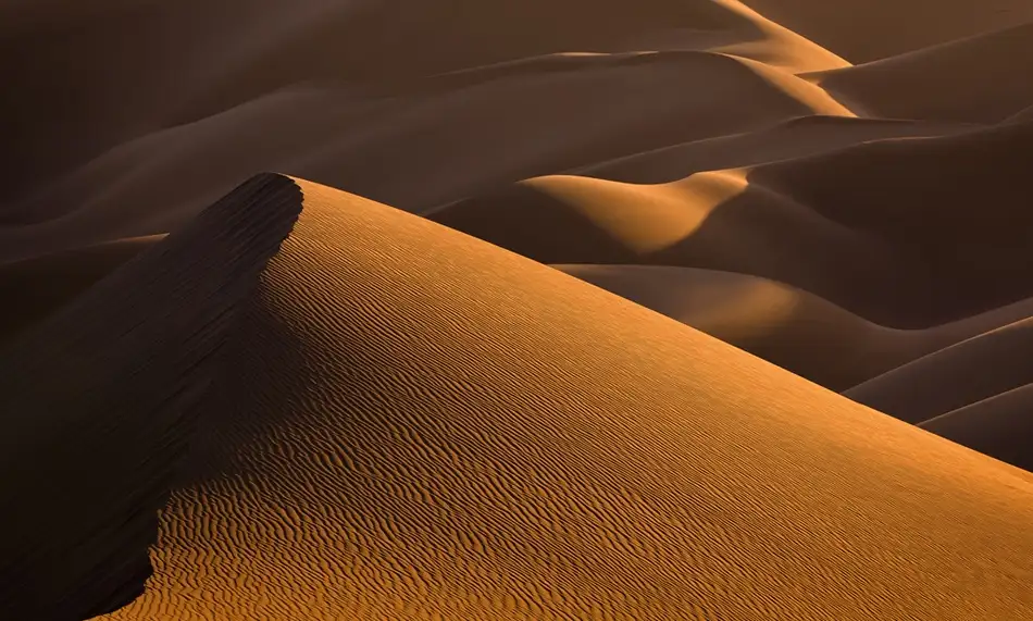 Momeni, Mohammadreza: Golden Sunset
