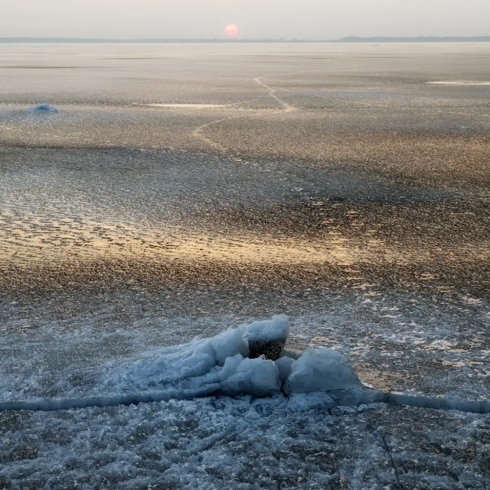 Krol, Bax Piotr: -20 degrees