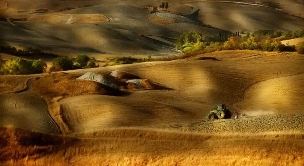 Grambone, Antonio: Preparación para la siembra - Volterra (PI) - Toscana - Italia