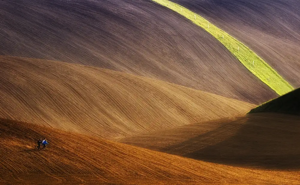 Krol, Bax Piotr: Running free