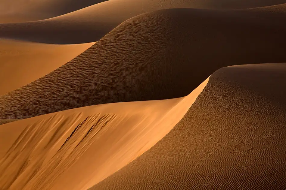 Momeni, Mohammadreza: Dance of light