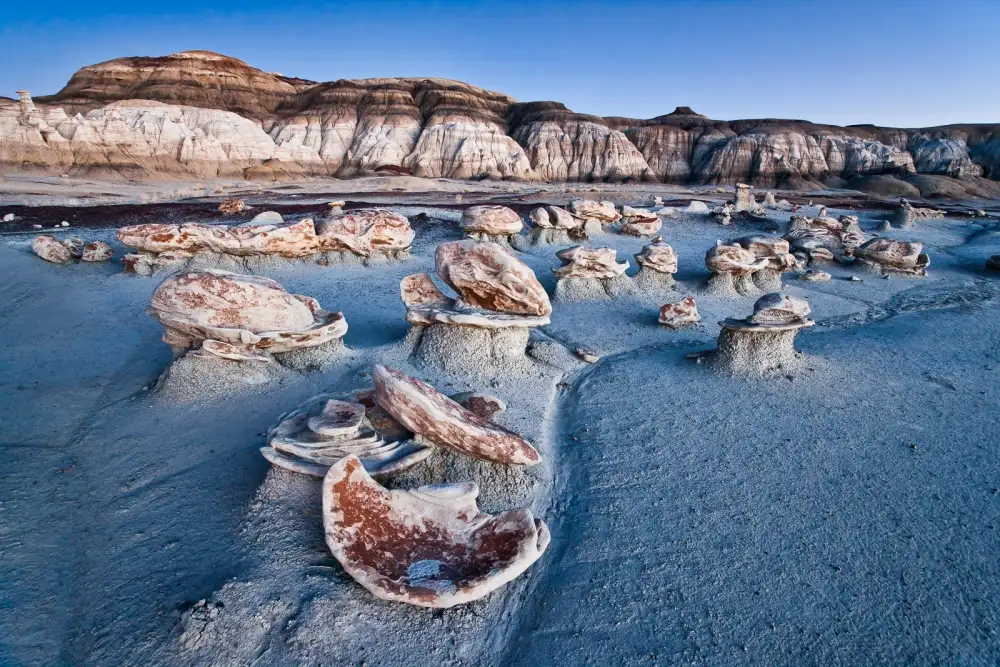 Fan, John: Bleu Bisti