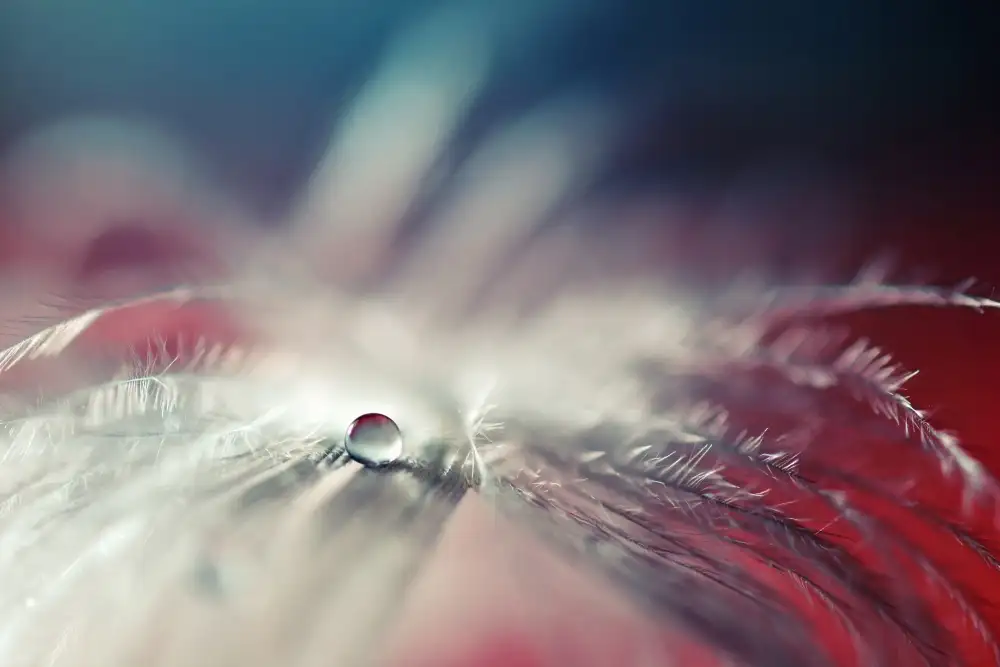 Doronin, Dmitry: Stories of drops