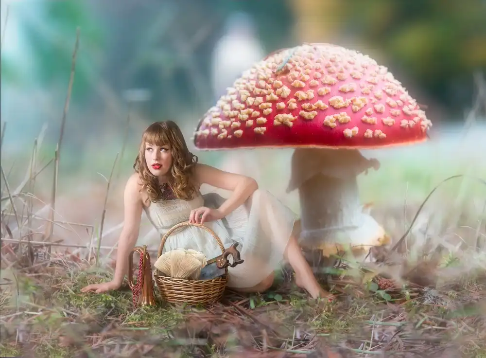 Galon, Derek: Mushroom Picker