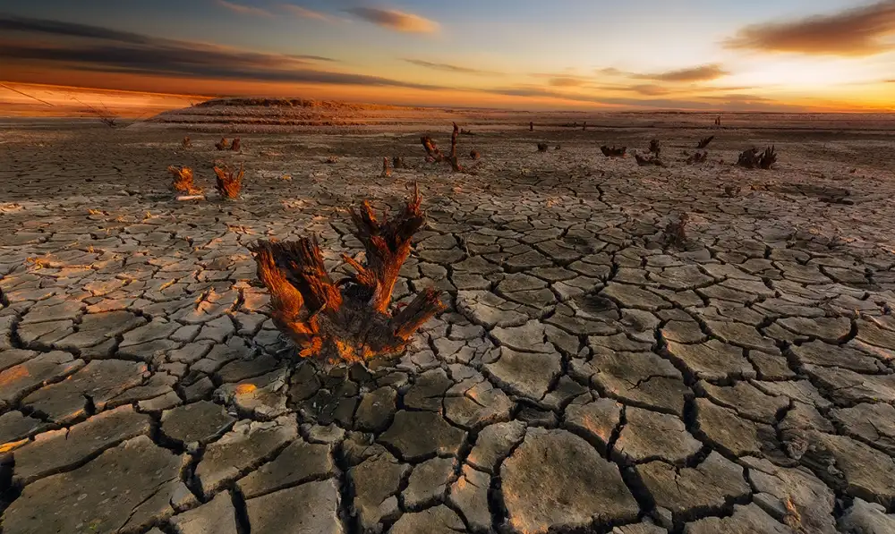Krol, Bax Piotr: Dry lake
