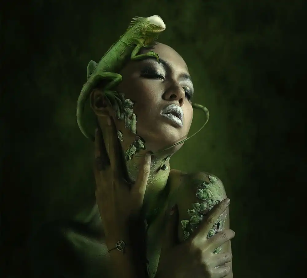 hardibudi: Karma chameleon