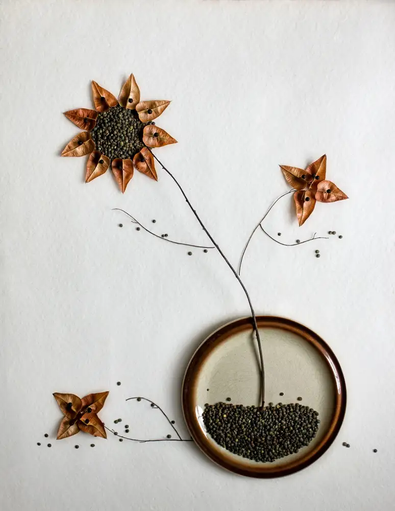 Dim, - Dimitar: Herbarium...
