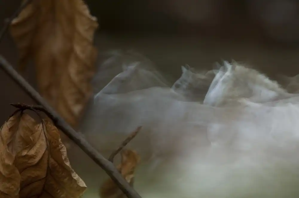 Malovrh, Milan: automne
